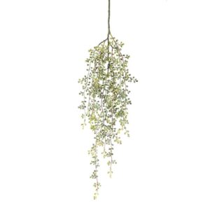 Hangplant Green Berry